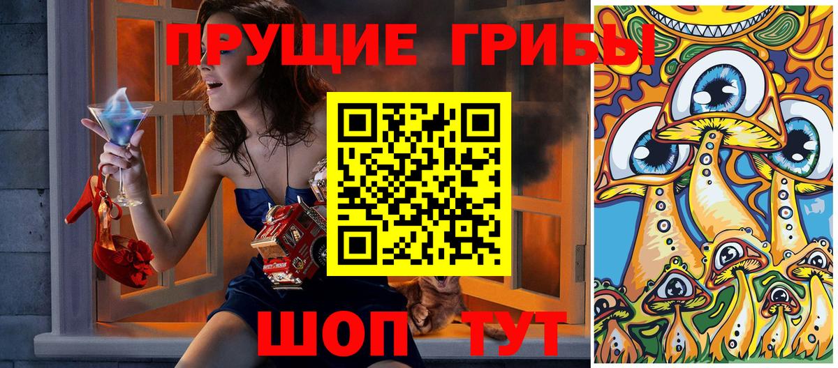 Галлюциногенные грибы Cubensis  Псилоцибиновые грибы прущие грибы  Вход с VPN  Чусовой 