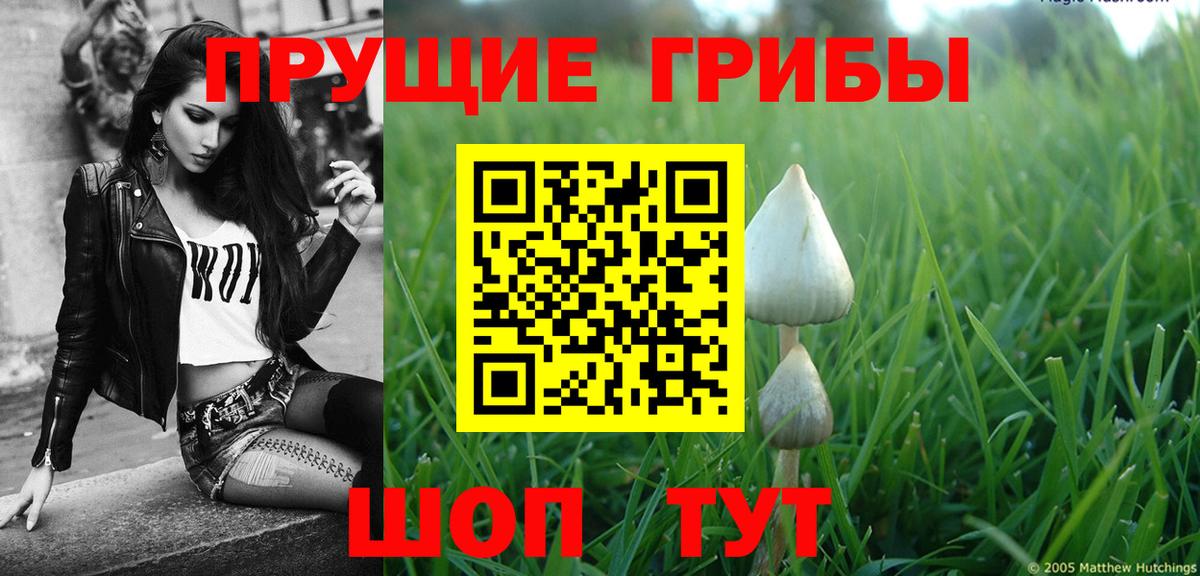 Галлюциногенные грибы ЛСД Чусовой